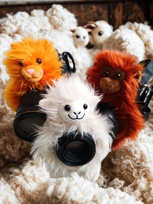 Kiekeboeboes Bundel - Dodo, Wolly & Fuzzy