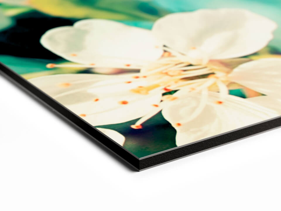 Digibond Zijdeglans (vanaf)