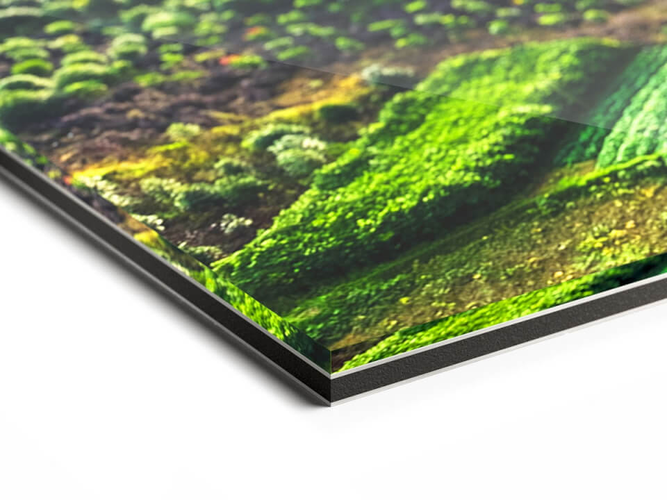 Foto op plexiglas glans (vanaf)